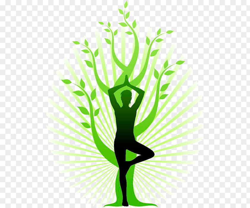 Yoga Vriksasana Posture Tadasana PNG