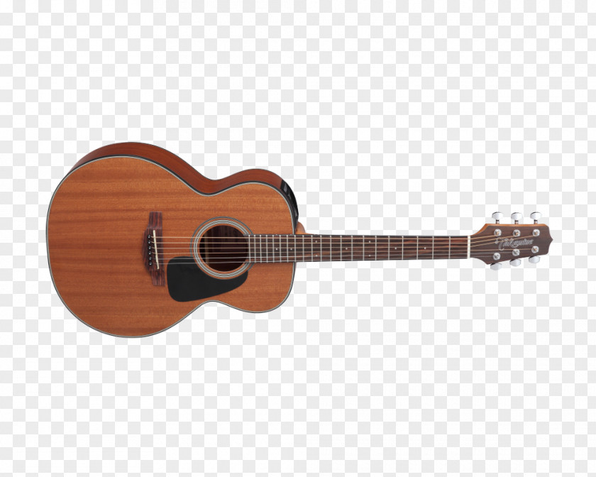 Acoustic Gig Acoustic-electric Guitar Takamine Guitars Dreadnought PNG
