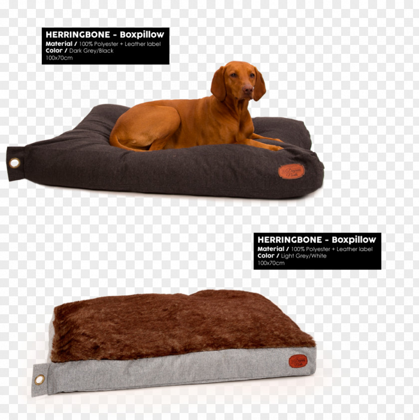Dog Breed Max&Luna Snout Bed PNG