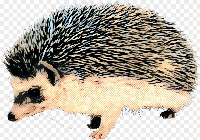 Domesticated Hedgehog Porcupine The And Fox Rodent PNG