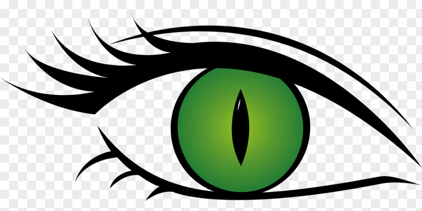 Eye Color Clip Art PNG