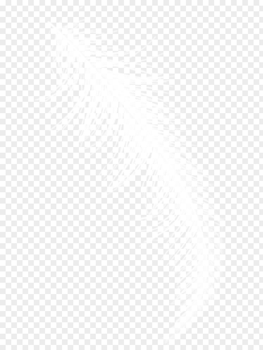 Feather White Black Angle Pattern PNG