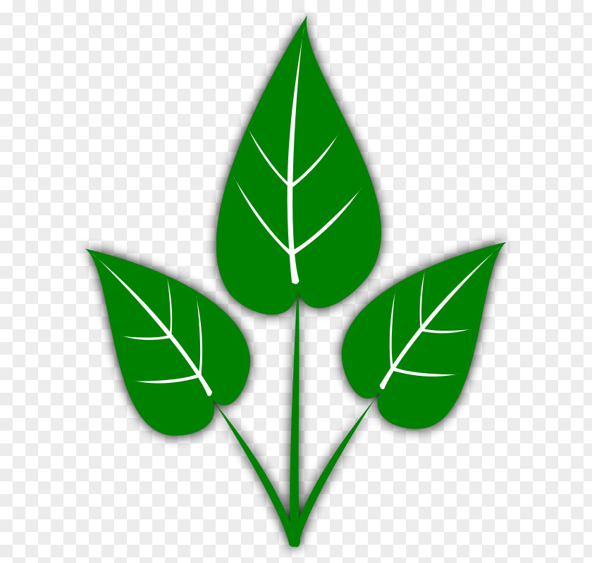 Green Pepper Clipart Leaf Free Content Clip Art PNG