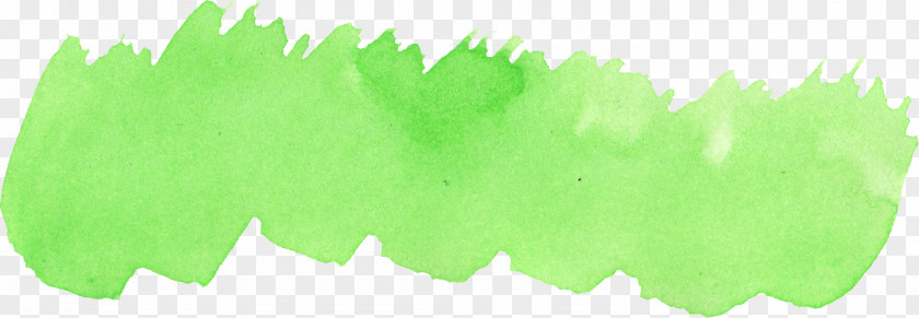 Leaf Yellow Green Clip Art PNG