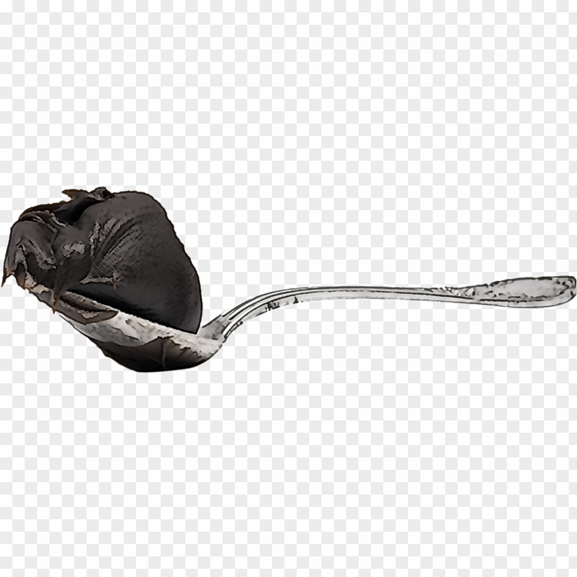 Metal Cutlery Plant PNG