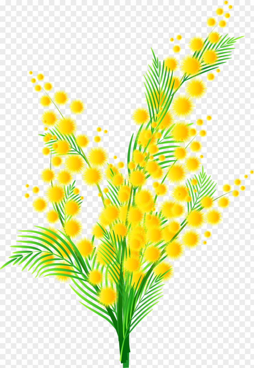 Mimosa Splash Sensitive Plant Cloth Napkins Flower Clip Art PNG
