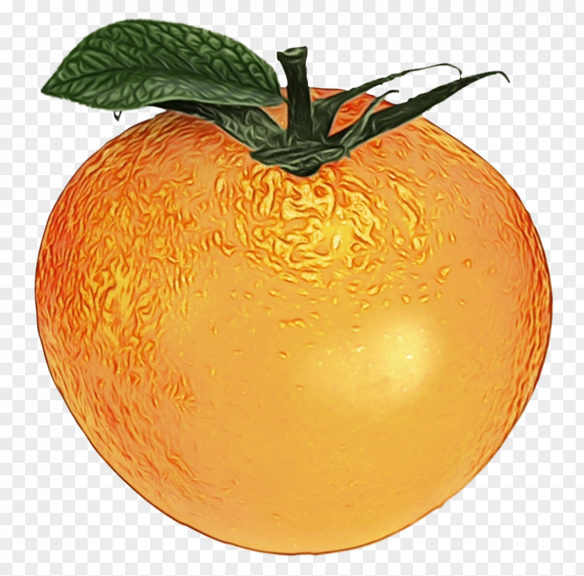 Muskmelon Apple Orange PNG