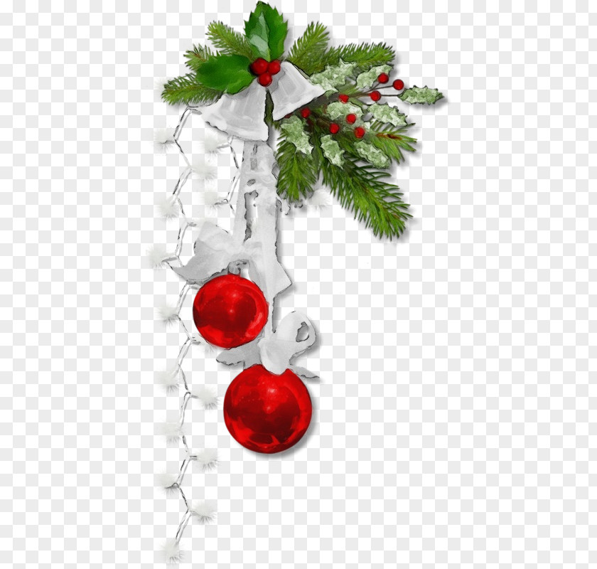 Pine Christmas Tree Ornament PNG