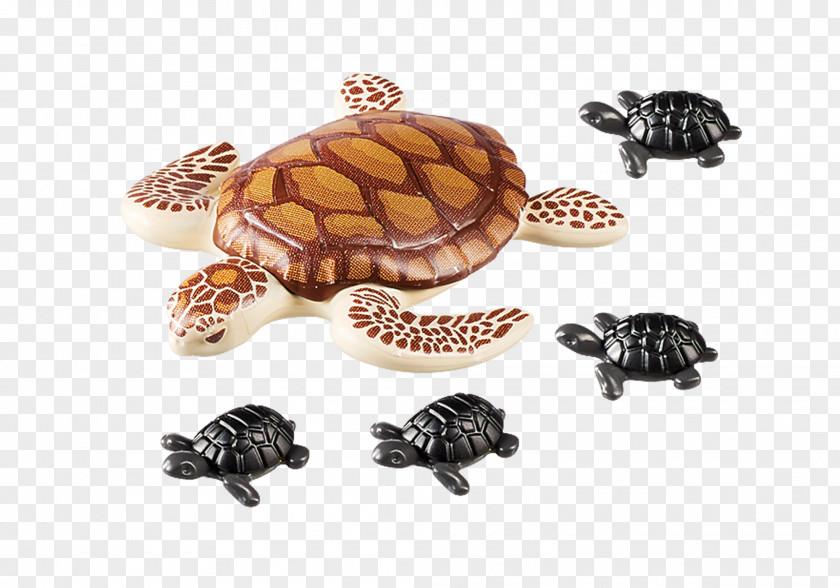 Turtle Playmobil Toy Infant Cheloniidae PNG