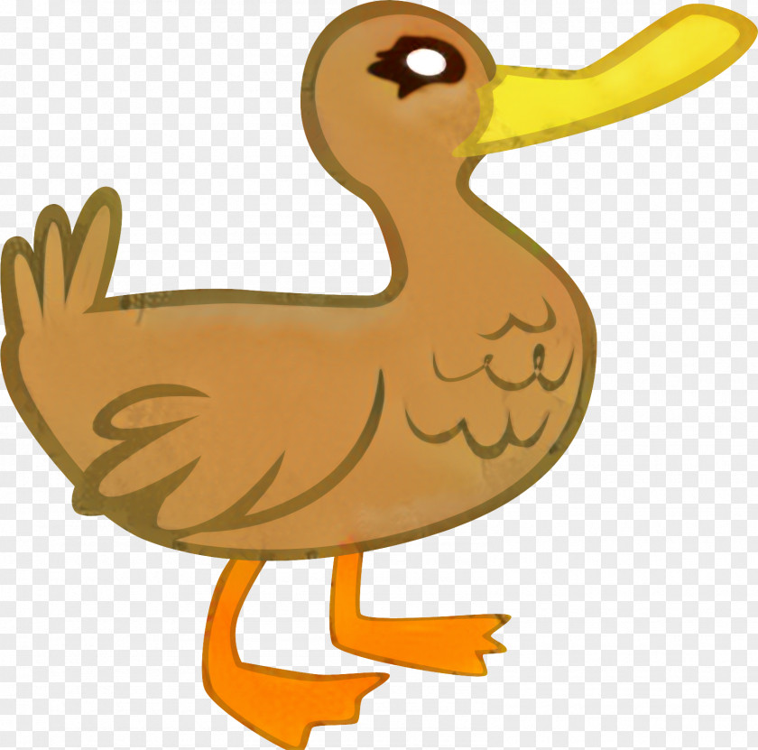 American Black Duck Animal Figure Chicken Cartoon PNG