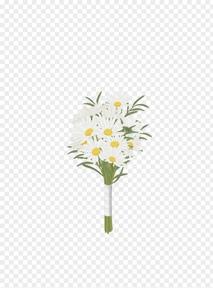 Chrysanthemum Indicum Floral Design Common Daisy Flower PNG