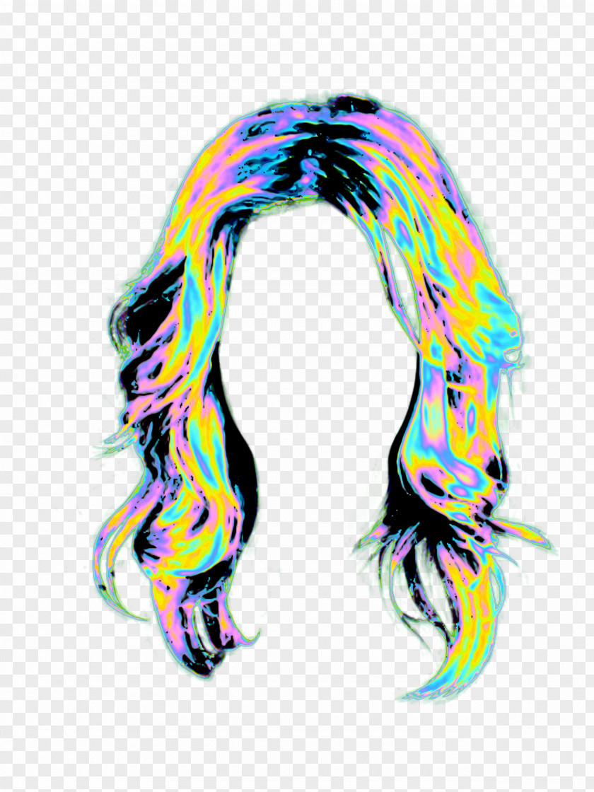 Hair Style Stickers For Picsart PicsArt Photo Studio Wig Selfie Holography PNG