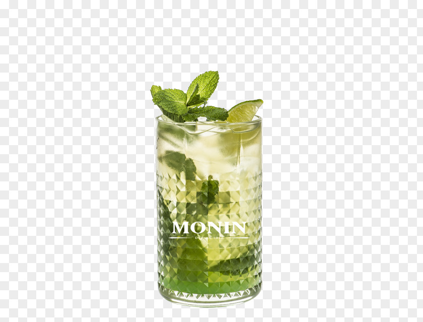 Mojito Cocktail Rickey Juice Mint Julep PNG