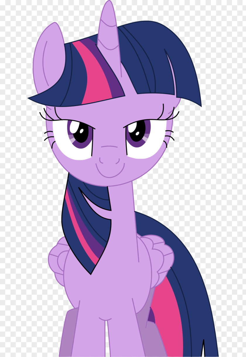 My Little Pony Twilight Sparkle Sunset Shimmer Pinkie Pie Rainbow Dash PNG