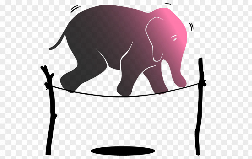 Nervous Elephant Noun Presentation PNG