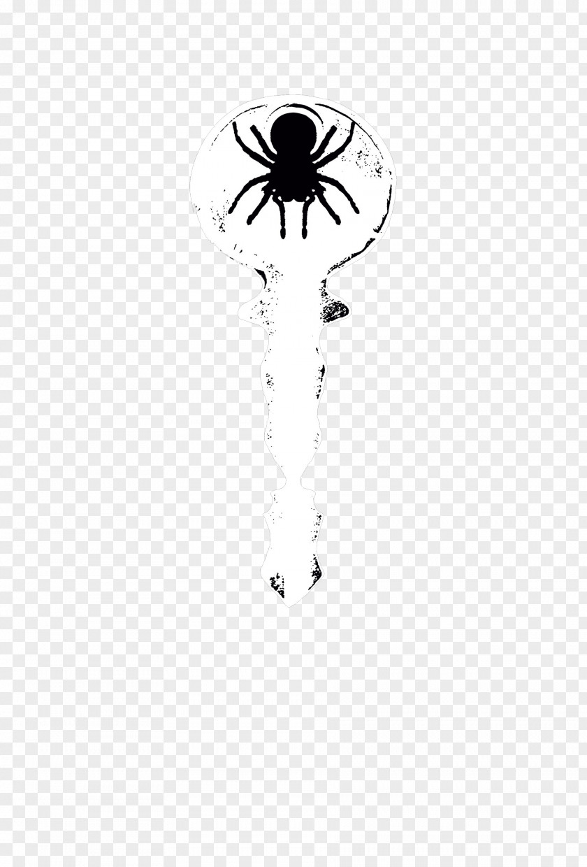 Scepter Spider Insect White Pattern PNG