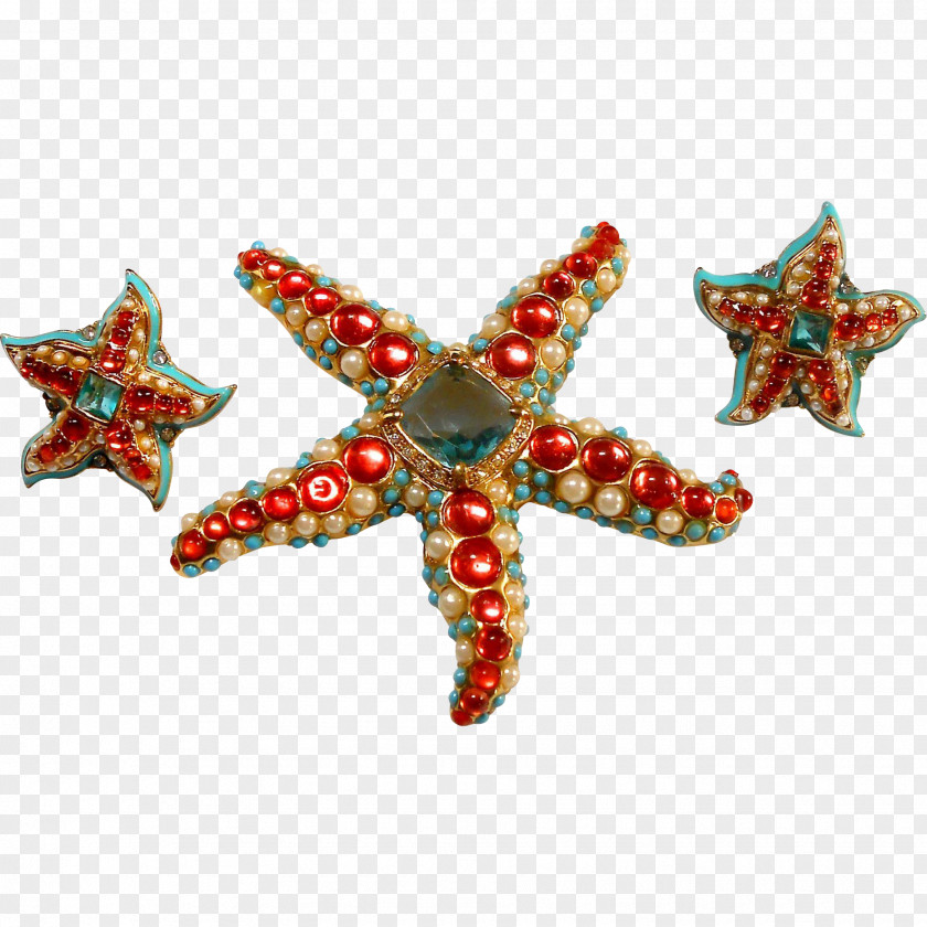 Starfish Marine Invertebrates Echinoderm Christmas Ornament PNG