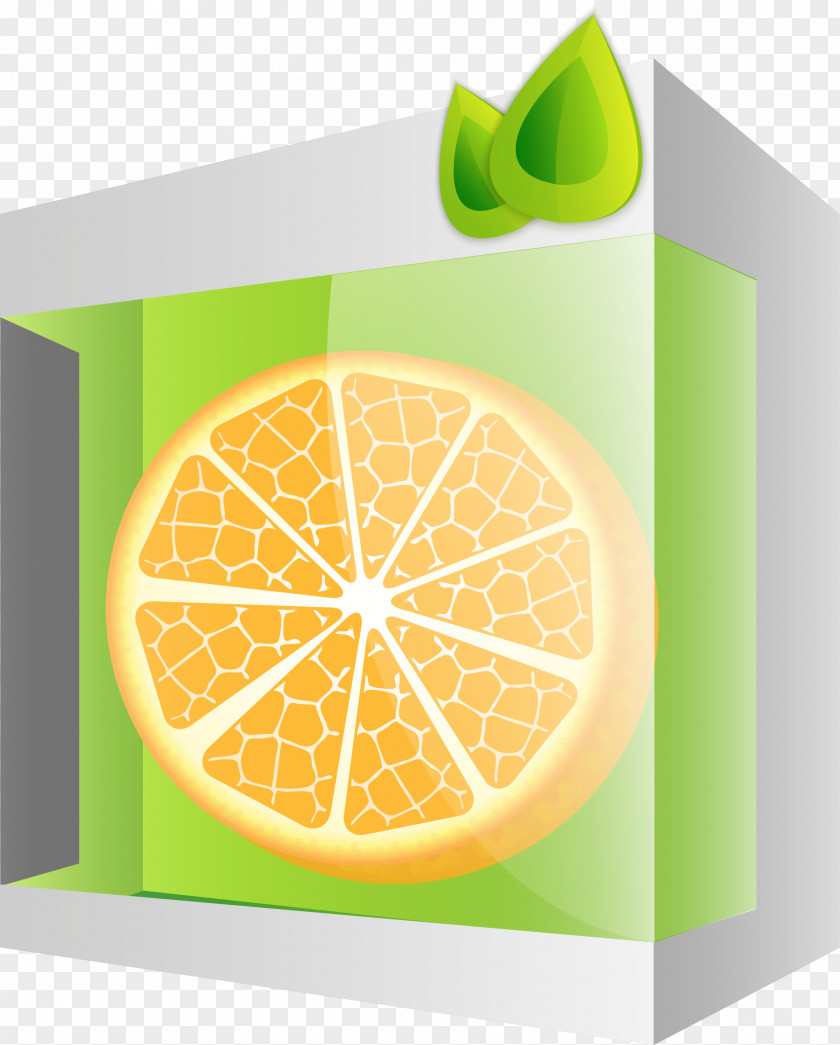 Vector Orange Lemon Euclidean PNG