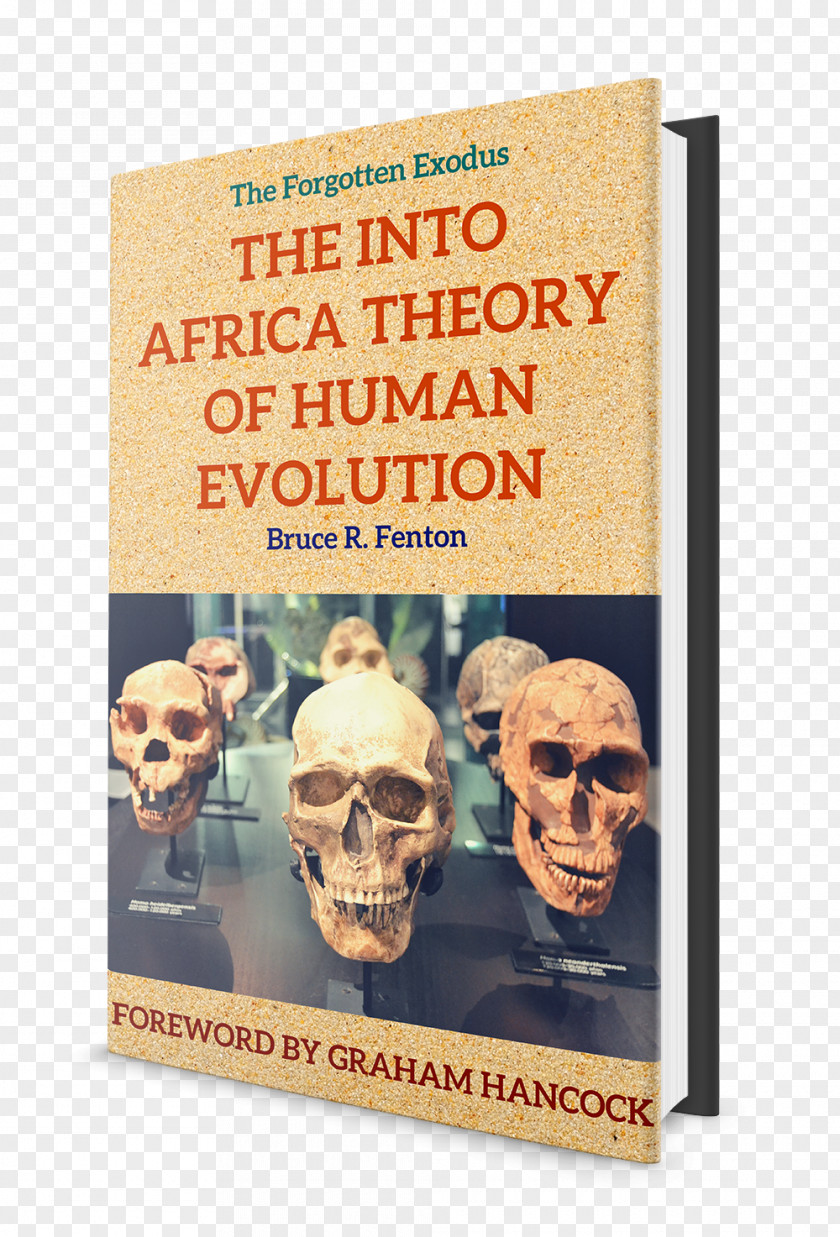Africa Recent African Origin Of Modern Humans Neanderthal Early Human Migrations Anatomically PNG