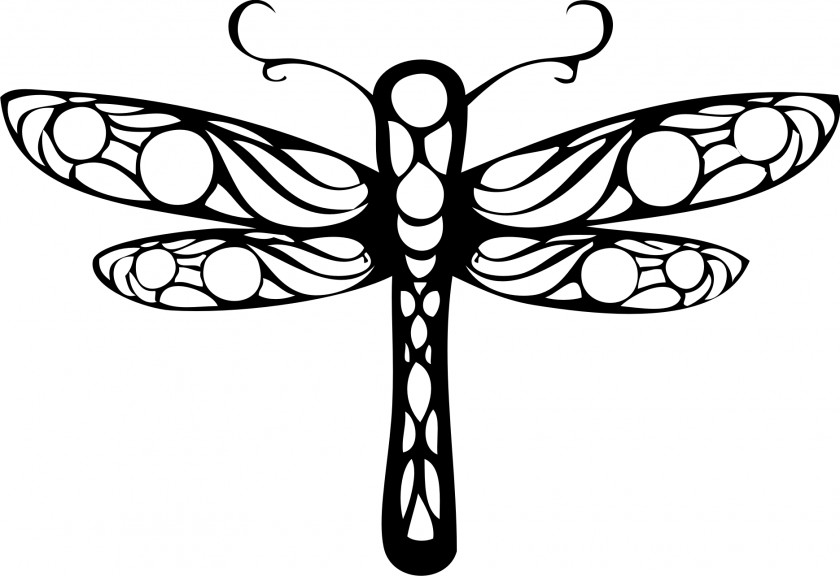 Dragonfly Drawing Clip Art PNG