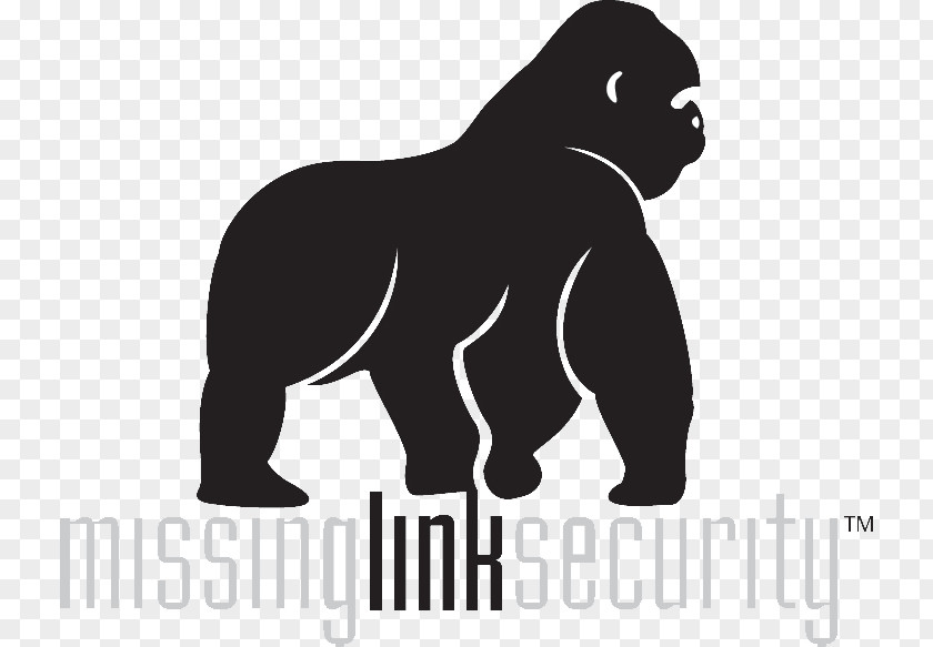 Gorilla Dog Missing Link Security Phyleo Bear PNG