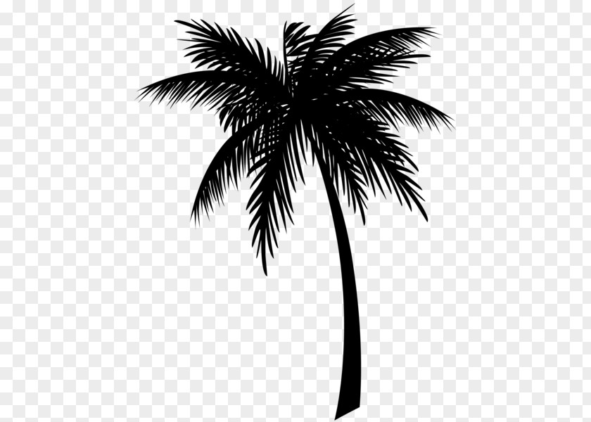 Jamaica Coconut Clip Art Image PNG