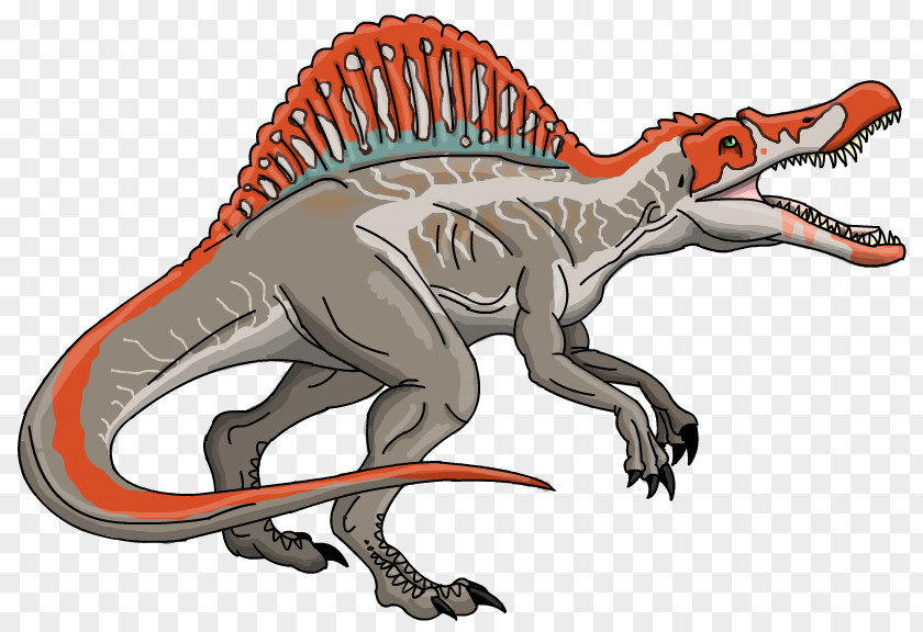 Spinosaurus Jurassic World Evolution Park Tyrannosaurus Drawing PNG