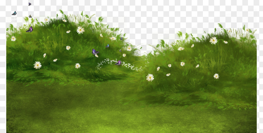 Watercolor Grass Painting Clip Art PNG