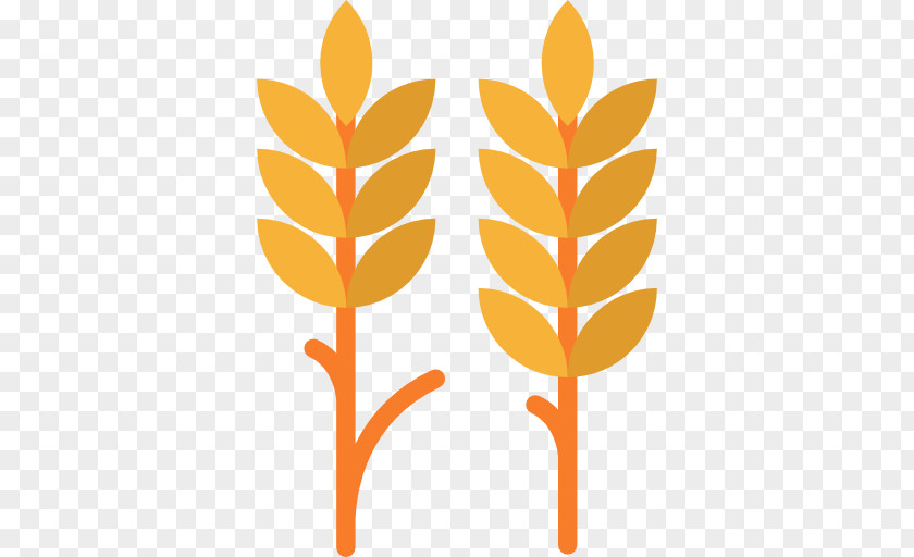 Wheat Pack PNG