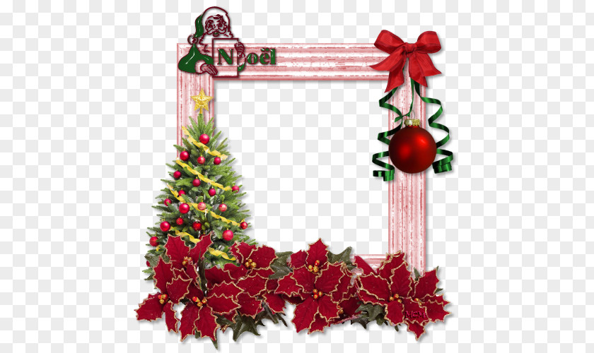 Christmas Tree Some Like It Hexed Party Gift PNG