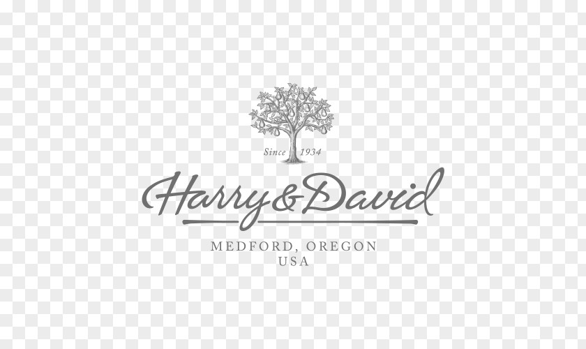 David Tennant Logo Brand Harry & Font PNG