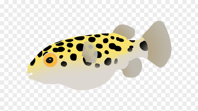 Fish Pufferfish Green Spotted Puffer Shark Chondrichthyes PNG