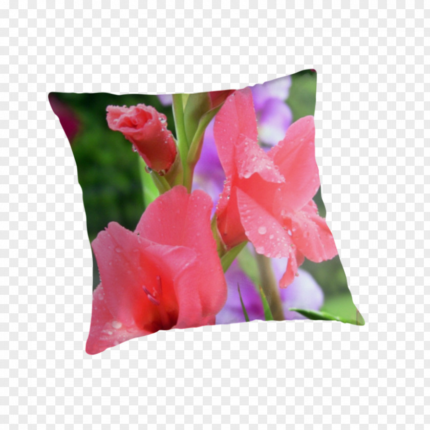 Gladiolus Throw Pillows Cushion Tulip PNG