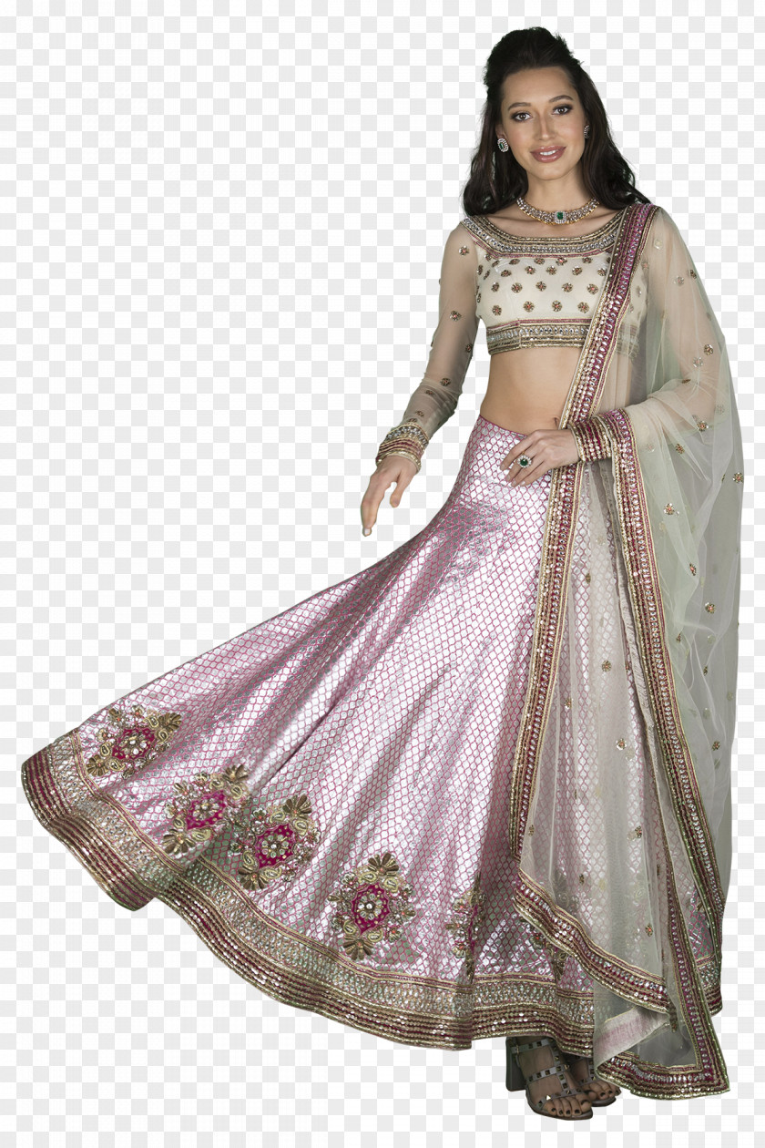 Lehnga Sari PNG