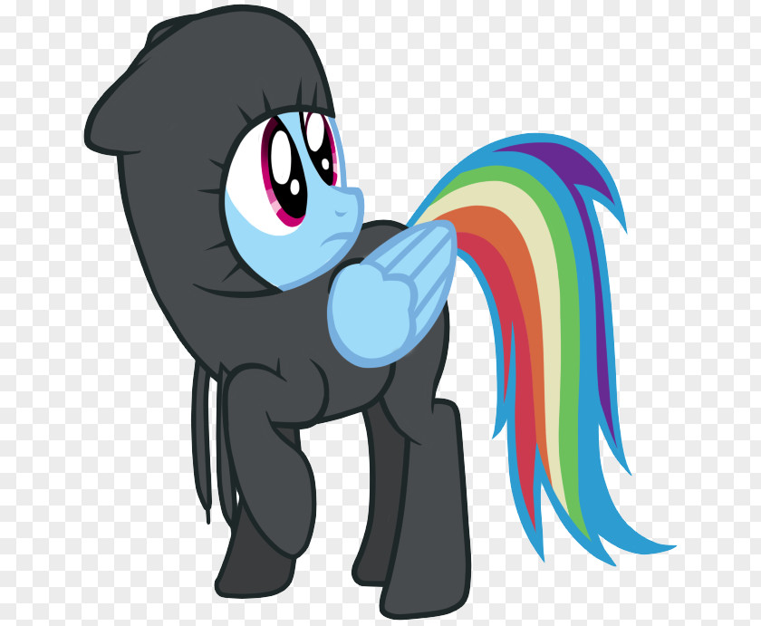 My Little Pony Rainbow Dash Ninja Horse PNG