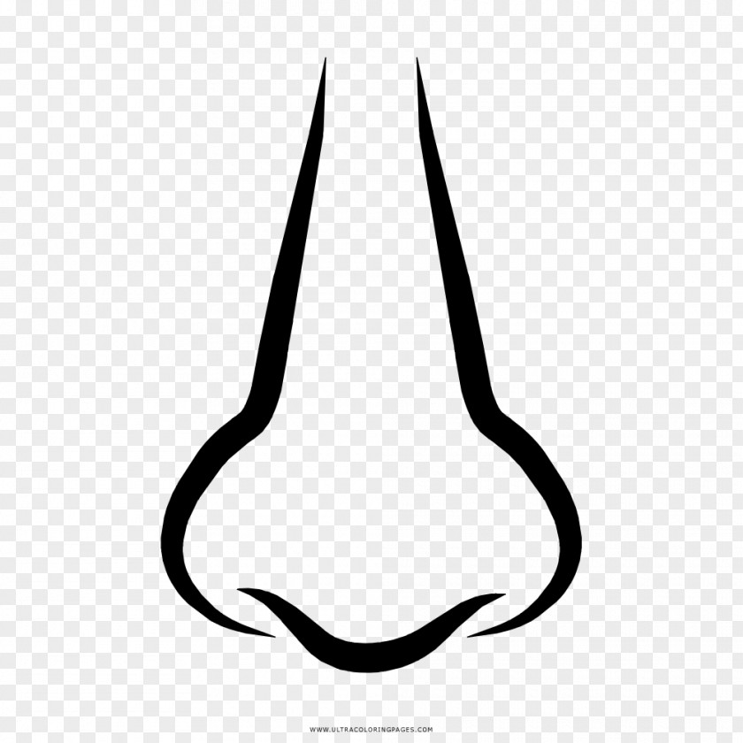 Nose Line White Black M Clip Art PNG