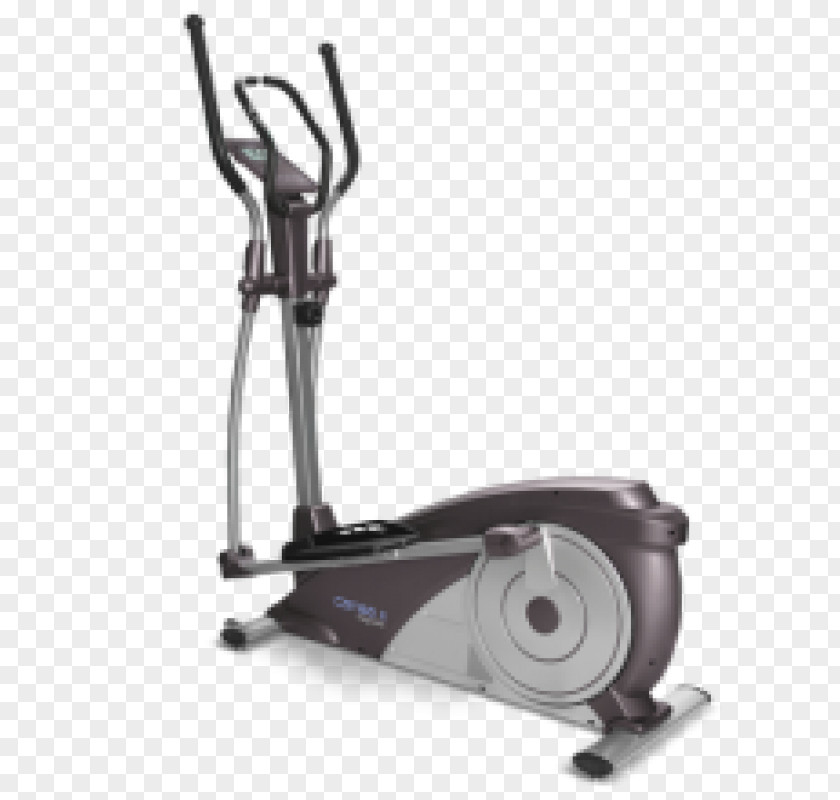 Pygocentrus Cariba Elliptical Trainers Exercise Machine Treadmill Bikes PNG