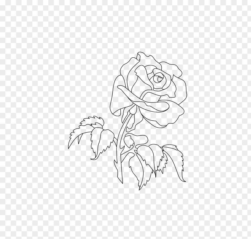 Rose Coloring Book Drawing Clip Art PNG