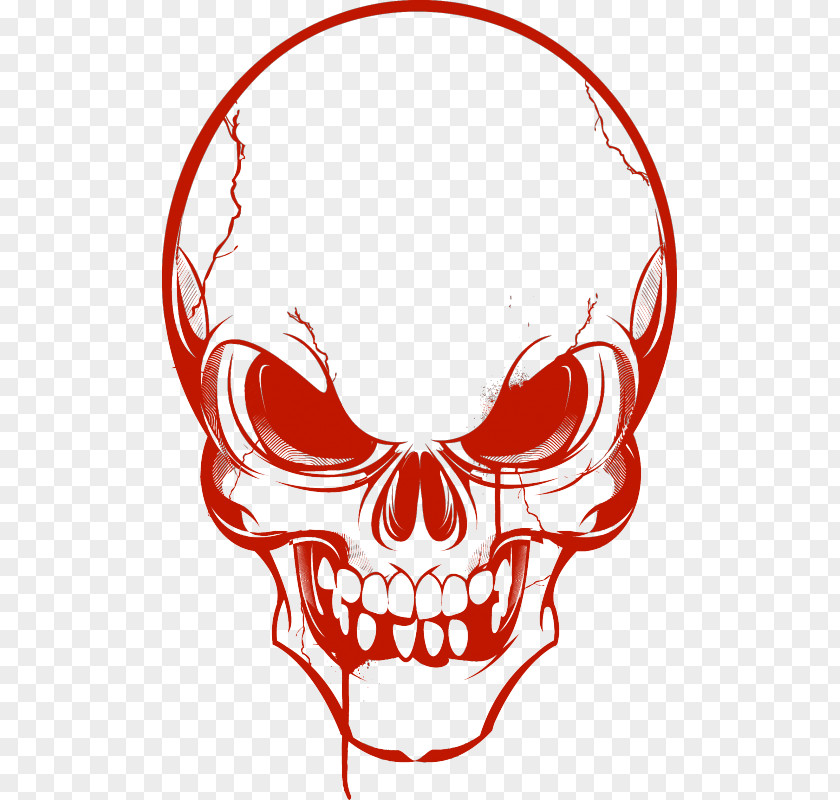 Skull Vector Graphics Clip Art Image Illustration PNG
