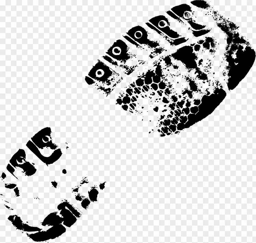 Footprint Shoe PNG