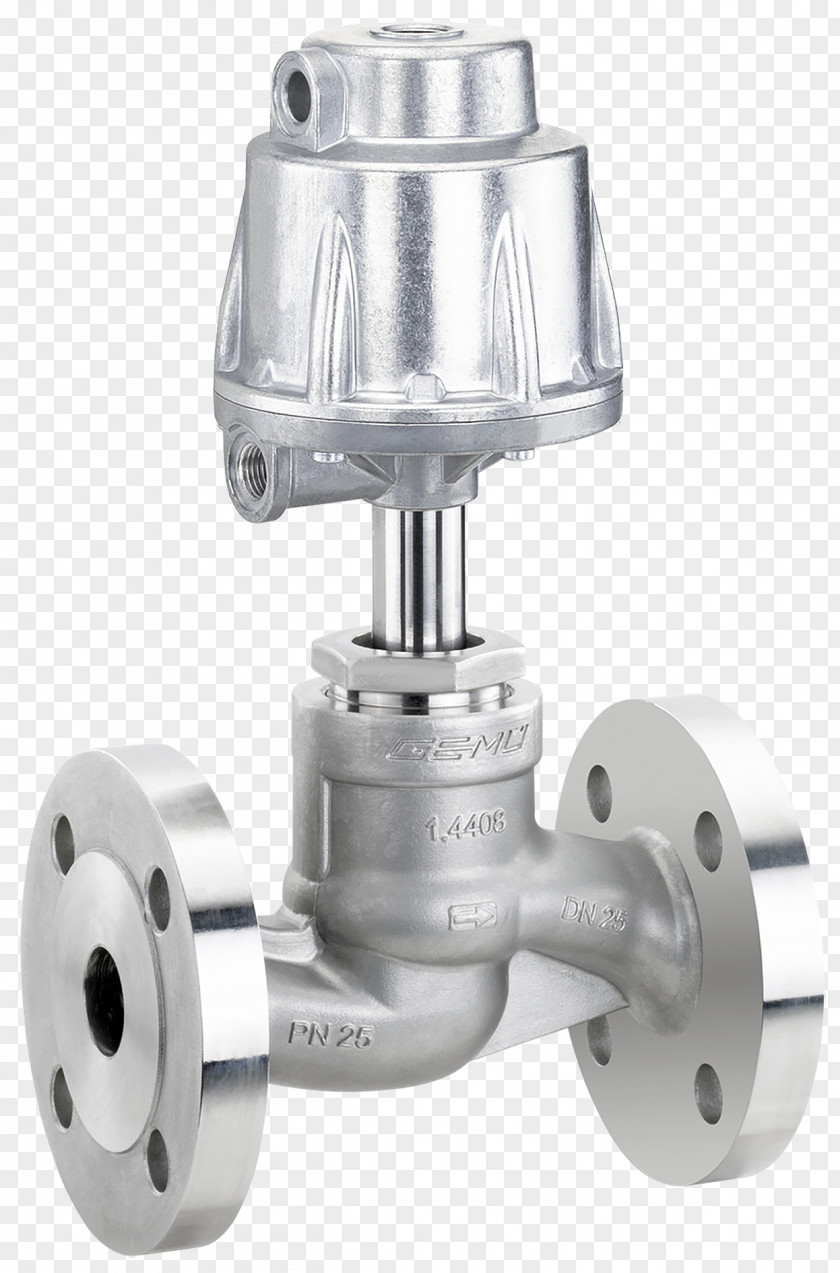 Globe Valve GEMÜ Gebr. Müller Apparatebau GmbH & Co. KG Control Valves Pneumatics PNG