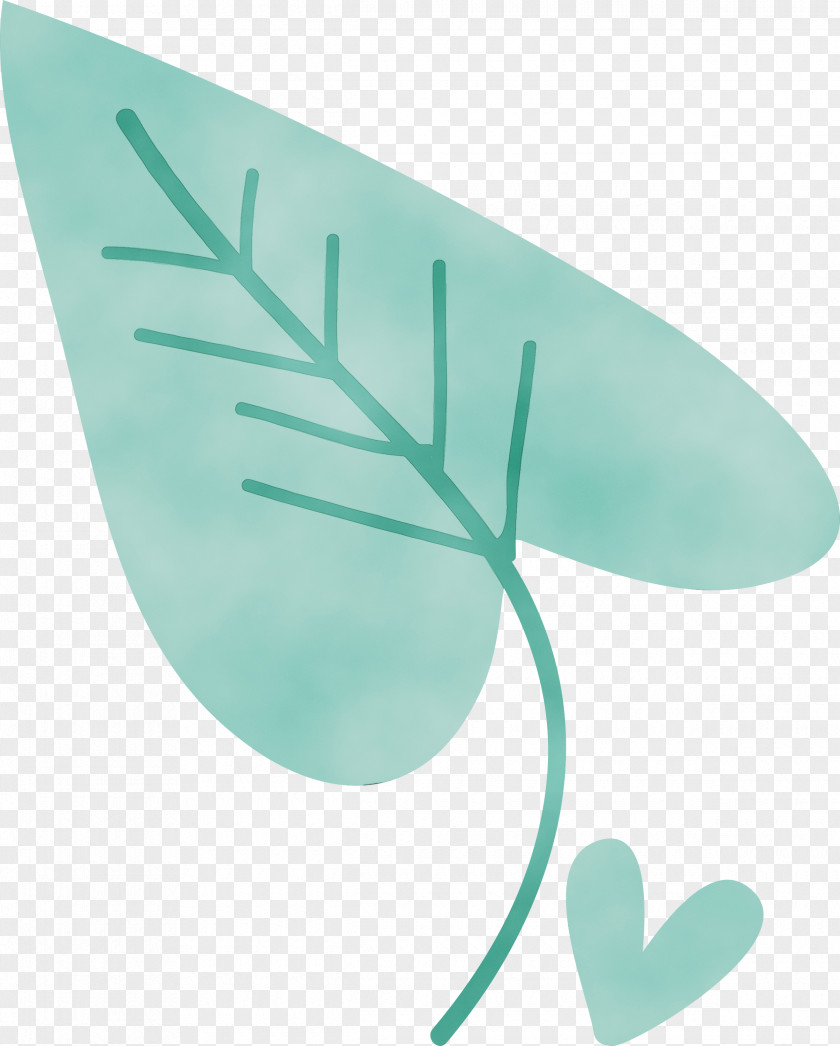 Leaf Turquoise Font Plants Biology PNG