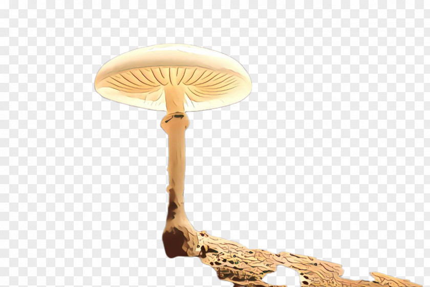 Mushroom Lamp Light Fixture Ceiling Agaricaceae PNG