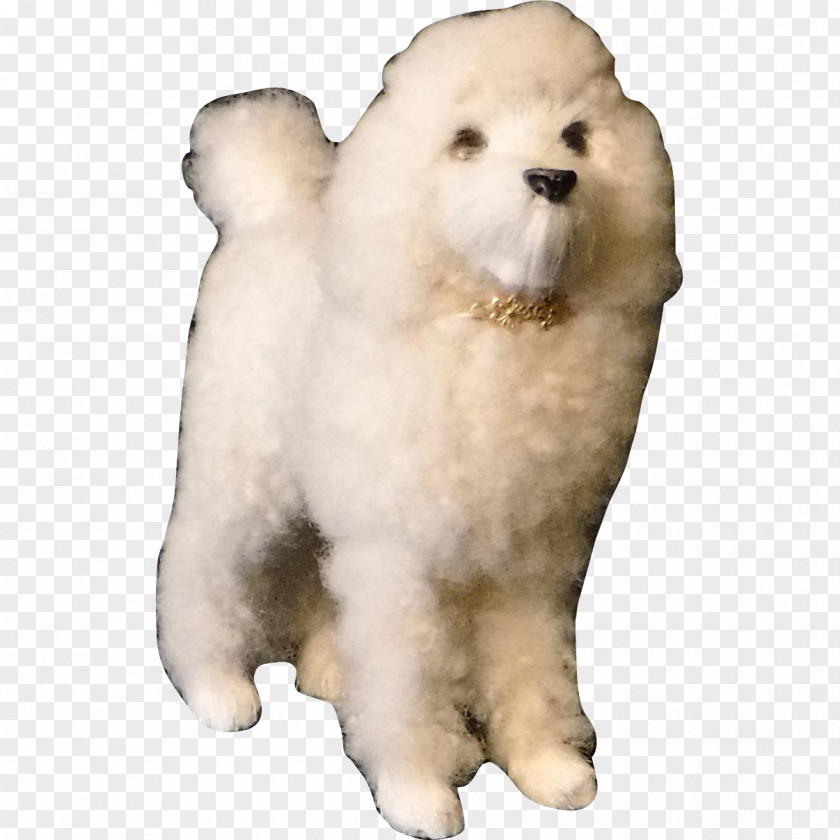 Poodle Samoyed Dog Pomeranian Great Pyrenees Breed Puppy PNG