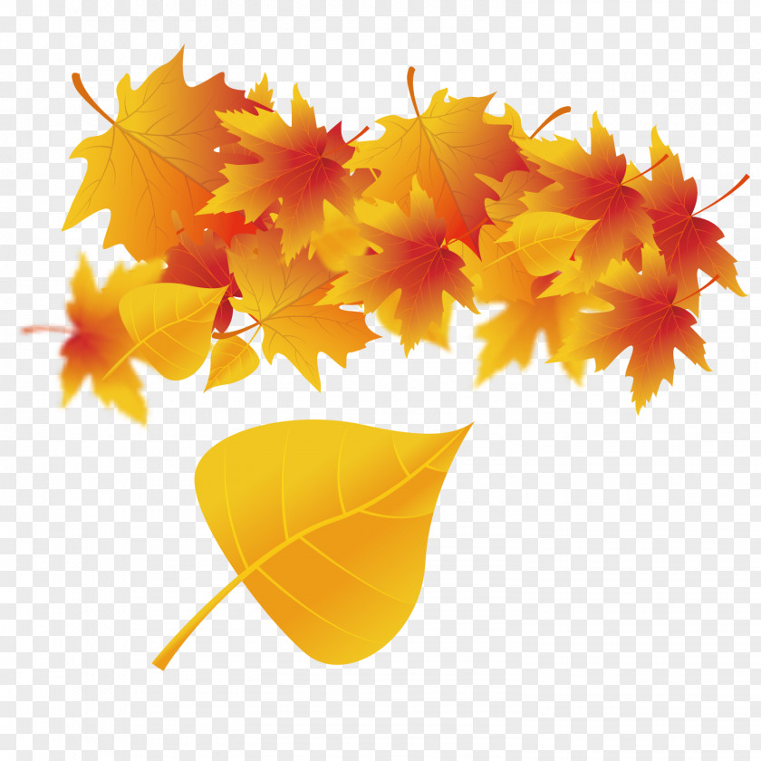 Yellow Maple Leaf Autumn Poster PNG
