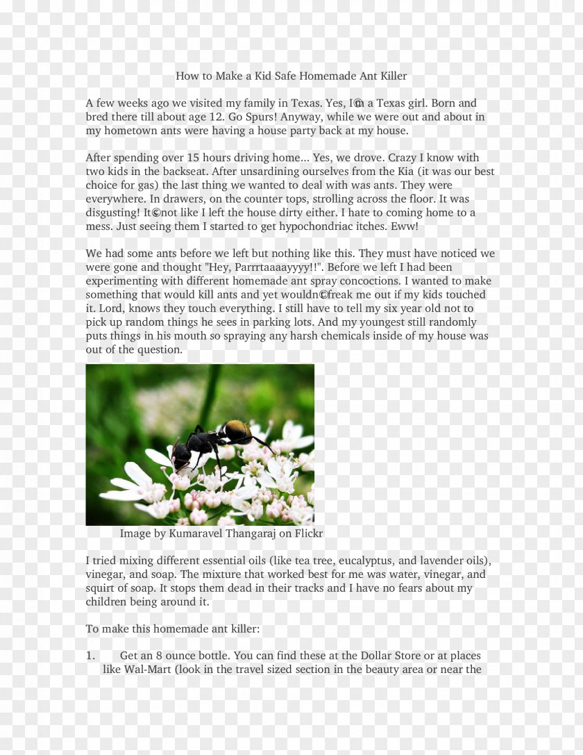 Anteater Plant Brochure Feudalism Dream Font PNG