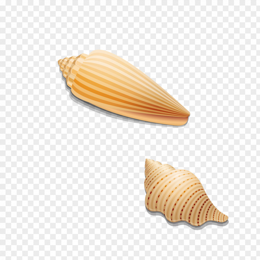 Conch Seashell Ice Cream Cone Clip Art PNG
