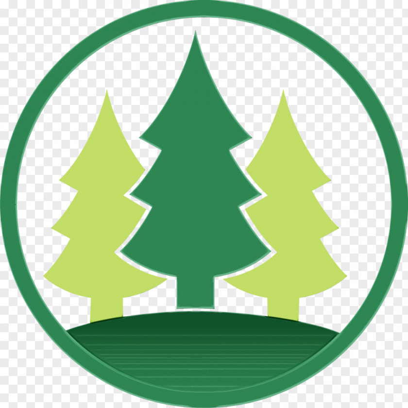 Emblem Oregon Pine Christmas Tree PNG