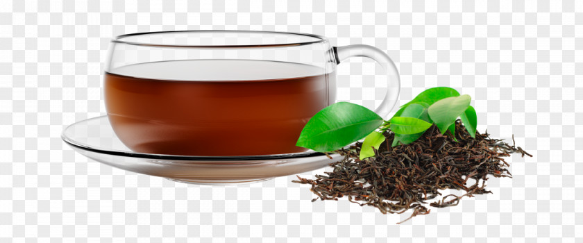 Green Tea Assam Mate Cocido Oolong PNG