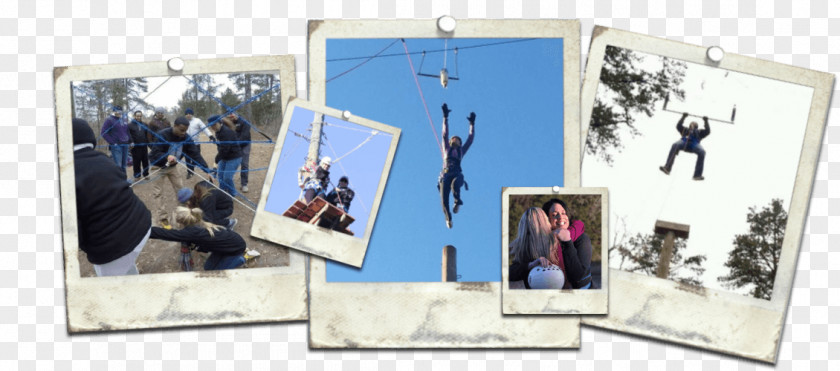 Rope Course Business Photo Albums Entrepreneurship Collage PNG